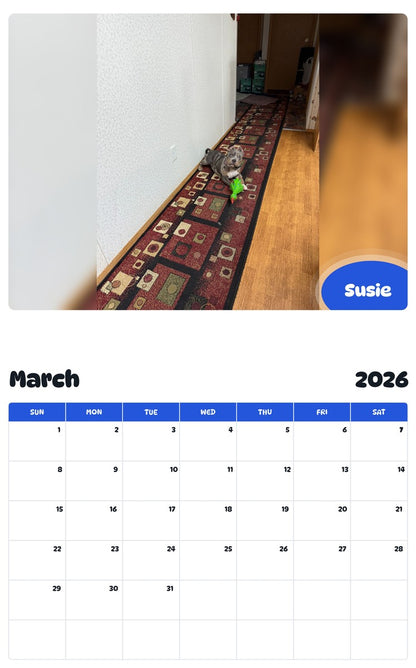 November 2025 - October 2026 Susie - Pawidols Pet Calendar