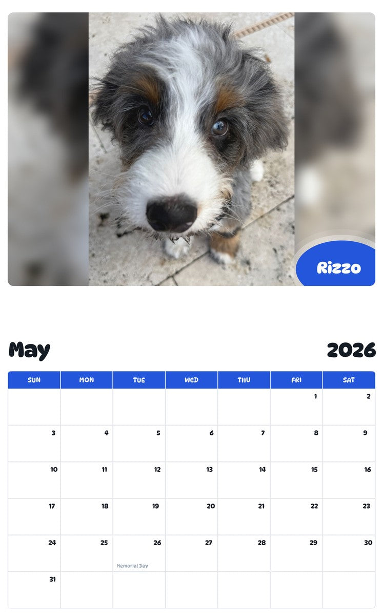 2026 - 2027 Rizzo - Pawidols Pet Calendar