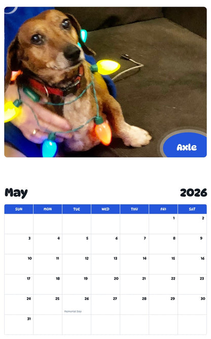 2026 - 2027 Axle - Pawidols Pet Calendar