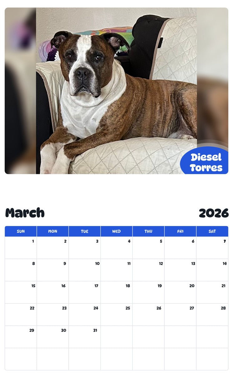 November 2025 - October 2026 Diesel Torres - Pawidols Pet Calendar