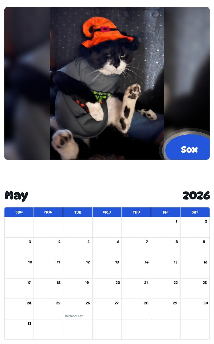 2026 - 2027 Sox - Pawidols Pet Calendar