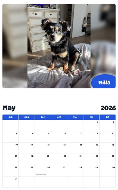 2026 - 2027 Willa - Pawidols Pet Calendar