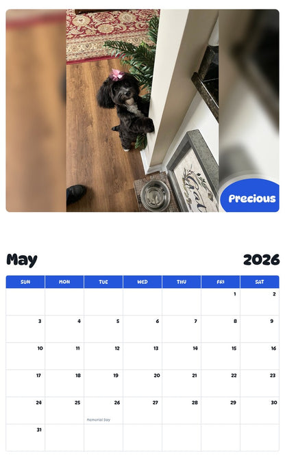 2026 - 2027 Precious - Pawidols Pet Calendar