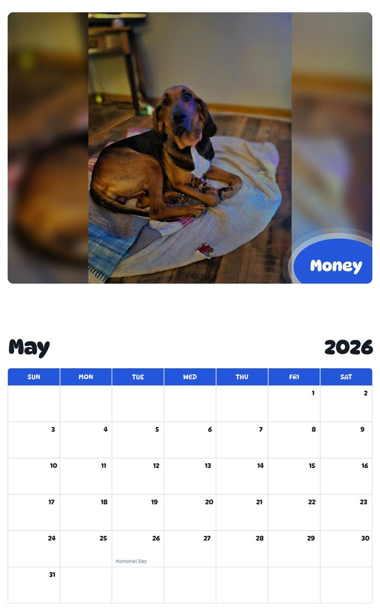 2026 - 2027 Money - Pawidols Pet Calendar