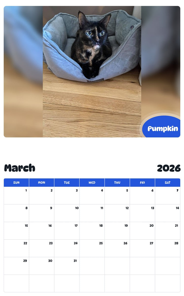 November 2025 - October 2026 Pumpkin - Pawidols Pet Calendar