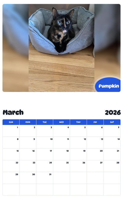 November 2025 - October 2026 Pumpkin - Pawidols Pet Calendar