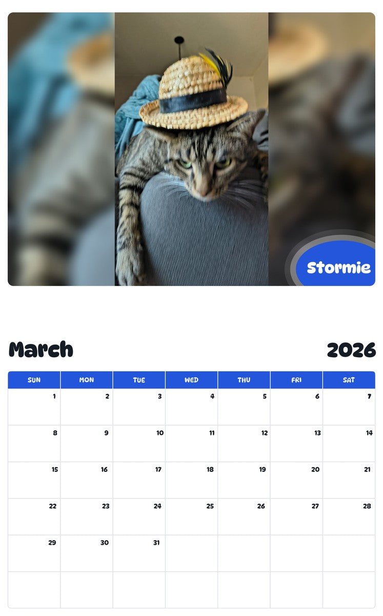 November 2025 - October 2026 Stormie - Pawidols Pet Calendar