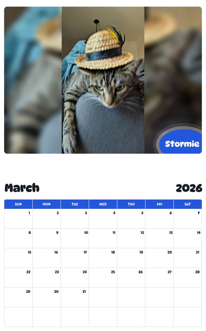November 2025 - October 2026 Stormie - Pawidols Pet Calendar