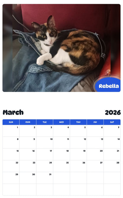November 2025 - October 2026 Rebella - Pawidols Pet Calendar