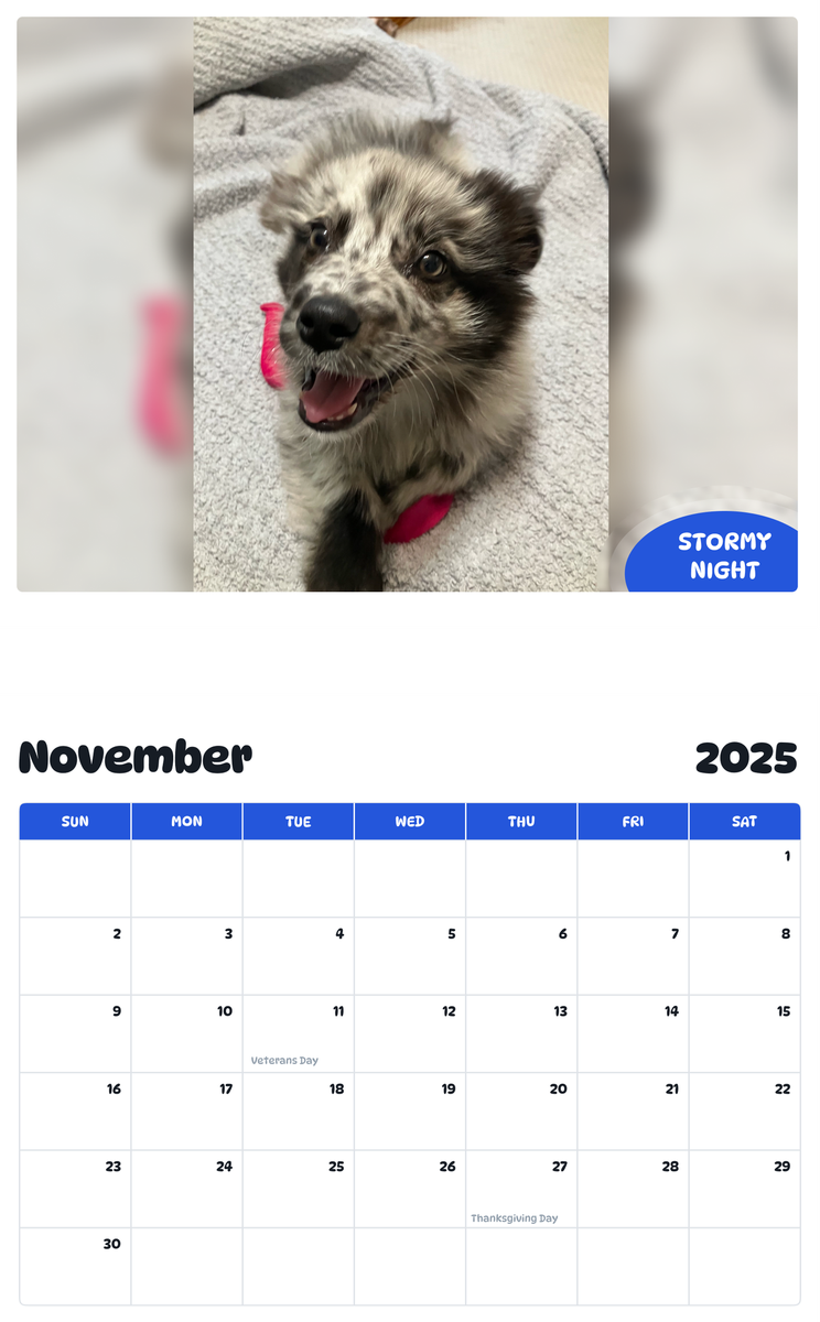 July 2025 - June 2026 Stormy Night - Pawidols Pet Calendar