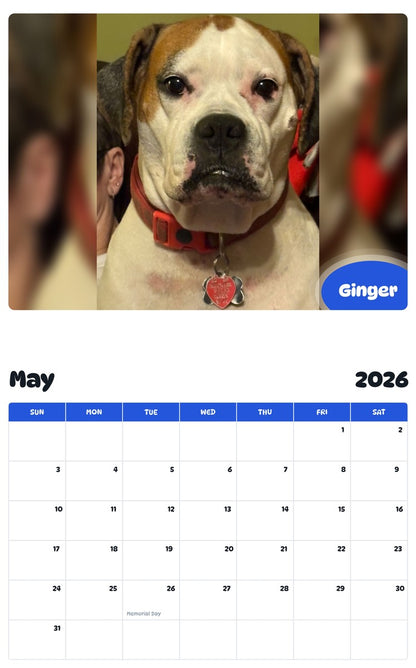 2026 - 2027 Ginger - Pawidols Pet Calendar