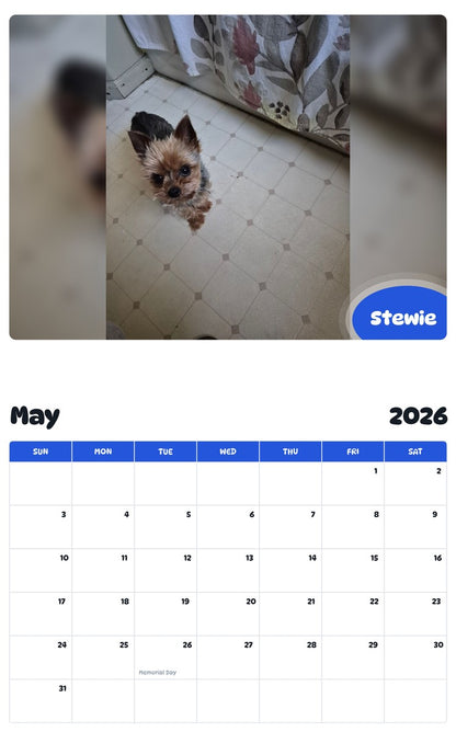 2026 - 2027 Stewie - Pawidols Pet Calendar