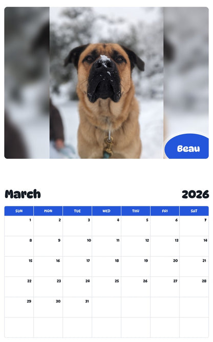 November 2025 - October 2026 Beau - Pawidols Pet Calendar