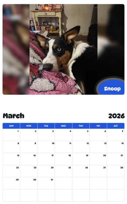 November 2025 - October 2026 Snoop - Pawidols Pet Calendar
