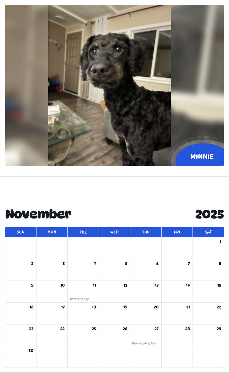 July 2025 - June 2026 Winnie - Pawidols Pet Calendar