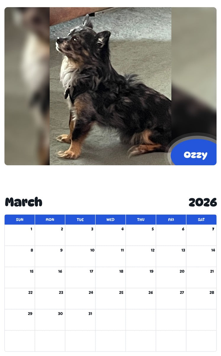 November 2025 - October 2026 Ozzy - Pawidols Pet Calendar