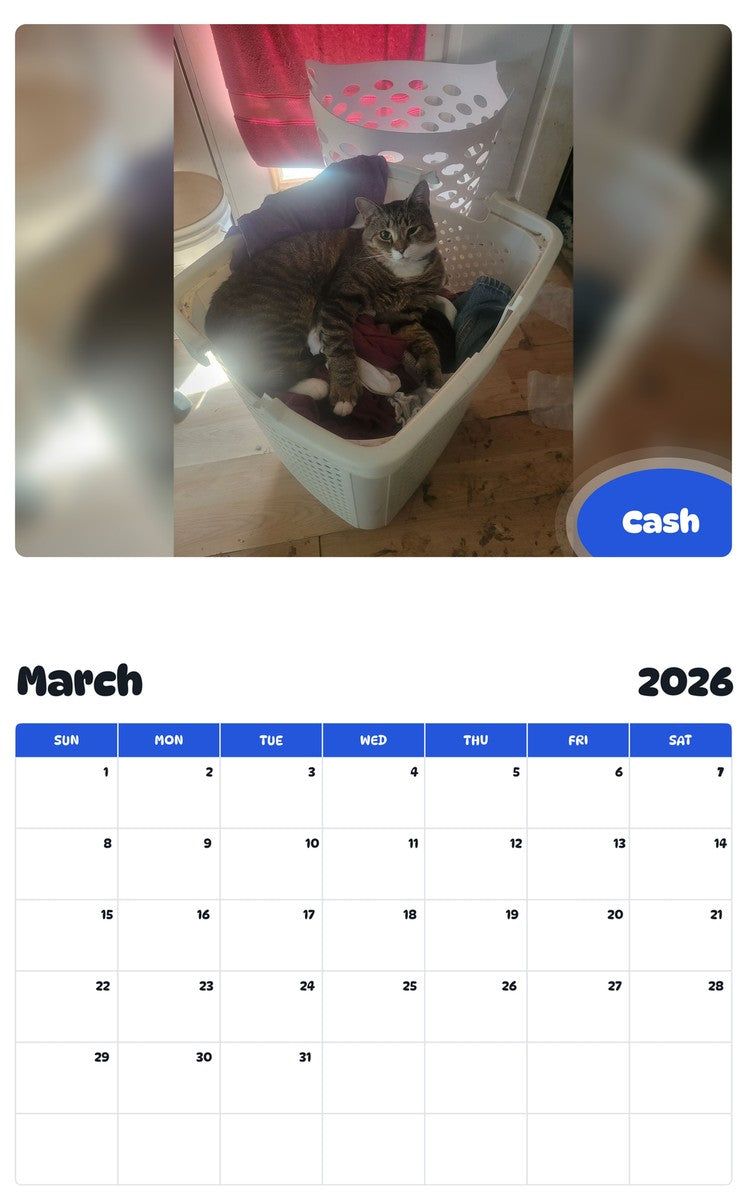 November 2025 - October 2026 Cash - Pawidols Pet Calendar