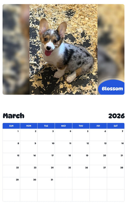November 2025 - October 2026 Blossom - Pawidols Pet Calendar