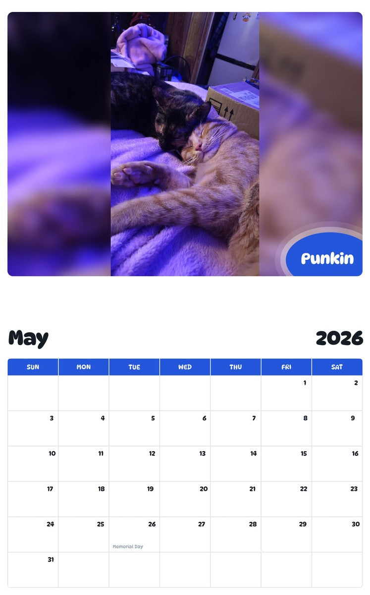 2026 - 2027 Punkin - Pawidols Pet Calendar