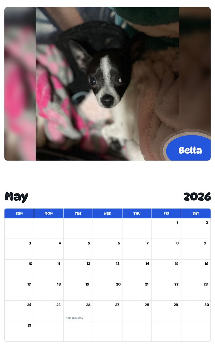 2026 - 2027 Bella - Pawidols Pet Calendar
