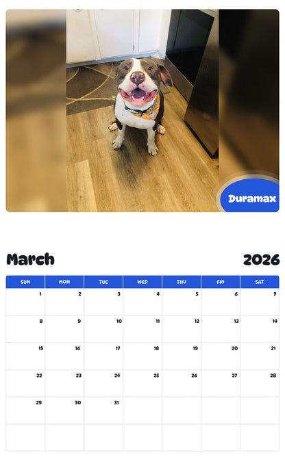 November 2025 - October 2026 Duramax - Pawidols Pet Calendar