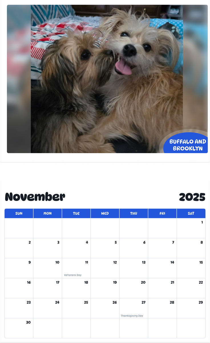 July 2025 - June 2026 Buffalo and Brooklyn - Pawidols Pet Calendar