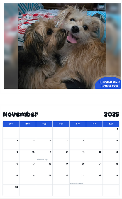 July 2025 - June 2026 Buffalo and Brooklyn - Pawidols Pet Calendar
