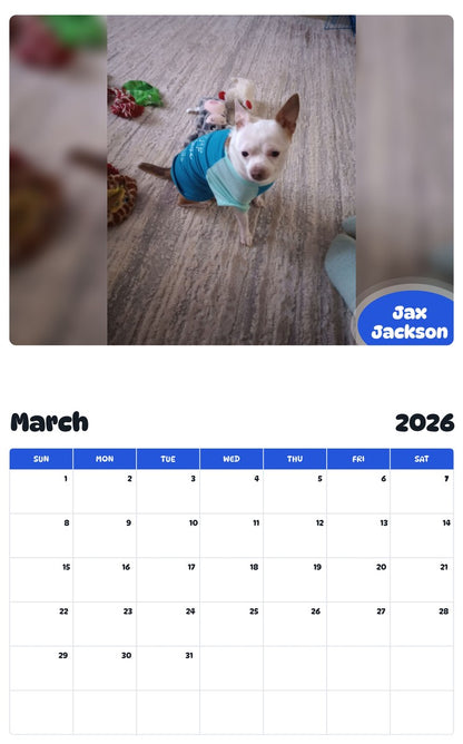 November 2025 - October 2026 Jax Jackson - Pawidols Pet Calendar