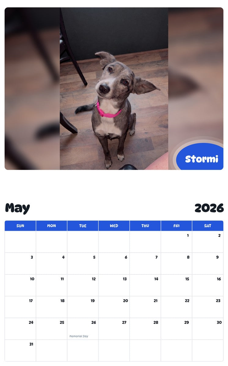 2026 - 2027 Stormi - Pawidols Pet Calendar