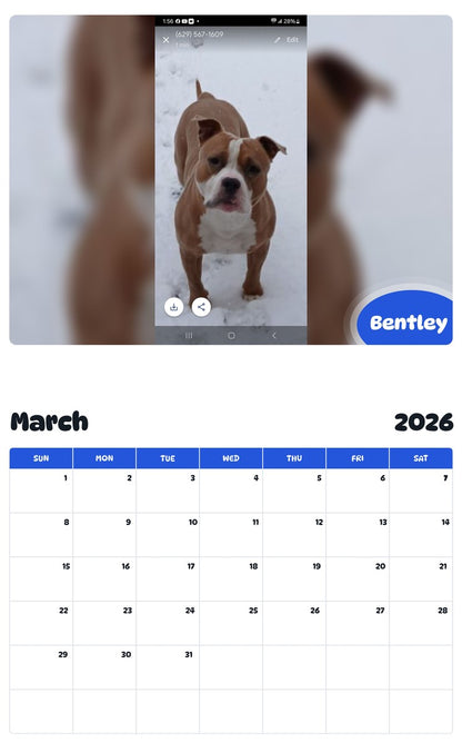 November 2025 - October 2026 Bentley - Pawidols Pet Calendar