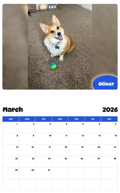 November 2025 - October 2026 Oliver - Pawidols Pet Calendar