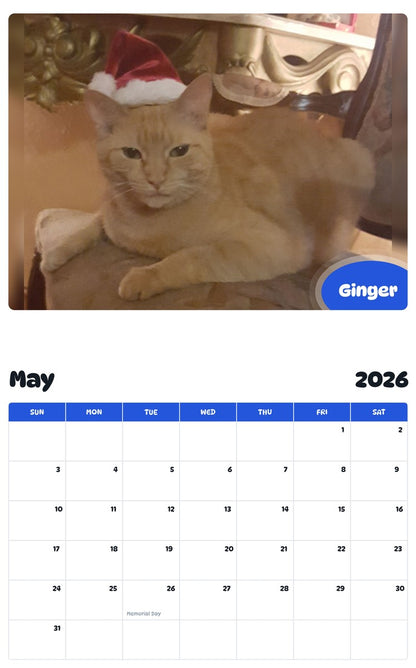 2026 - 2027 Ginger - Pawidols Pet Calendar