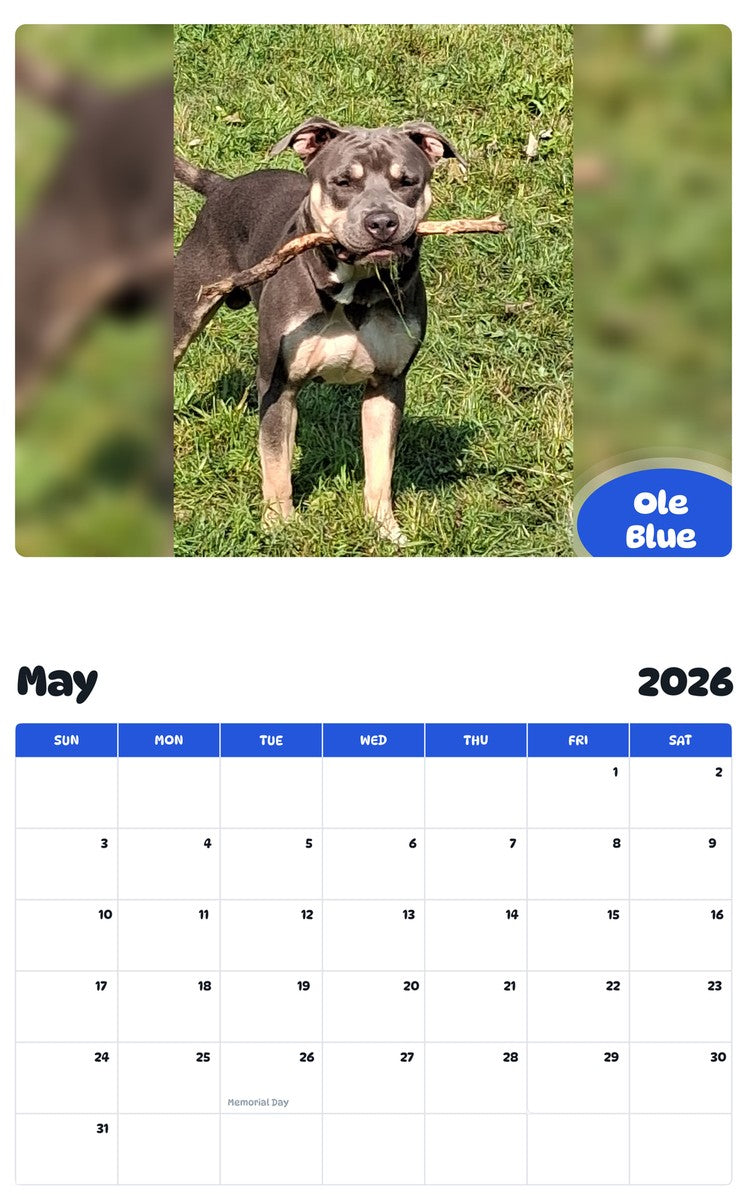 2026 - 2027 Ole Blue - Pawidols Pet Calendar