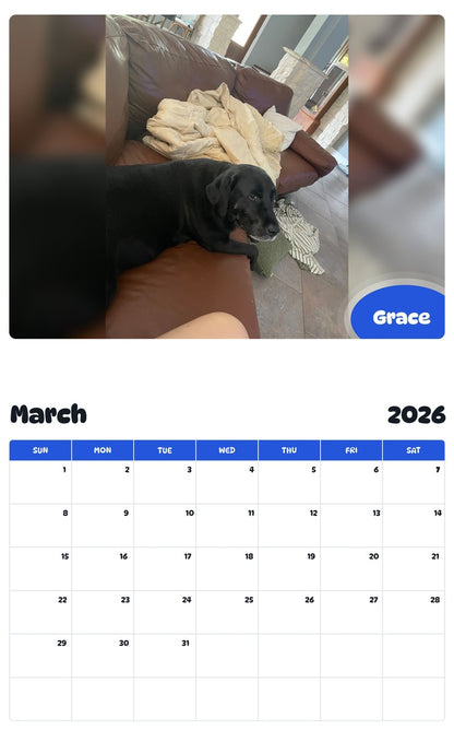 November 2025 - October 2026 Grace - Pawidols Pet Calendar