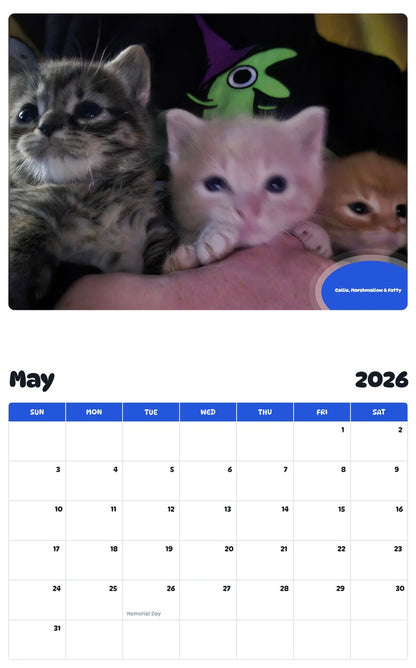 2026 - 2027 Callie, Marshmallow & Fatty - Pawidols Pet Calendar