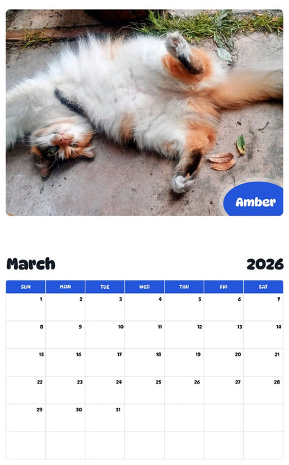 November 2025 - October 2026 Amber - Pawidols Pet Calendar