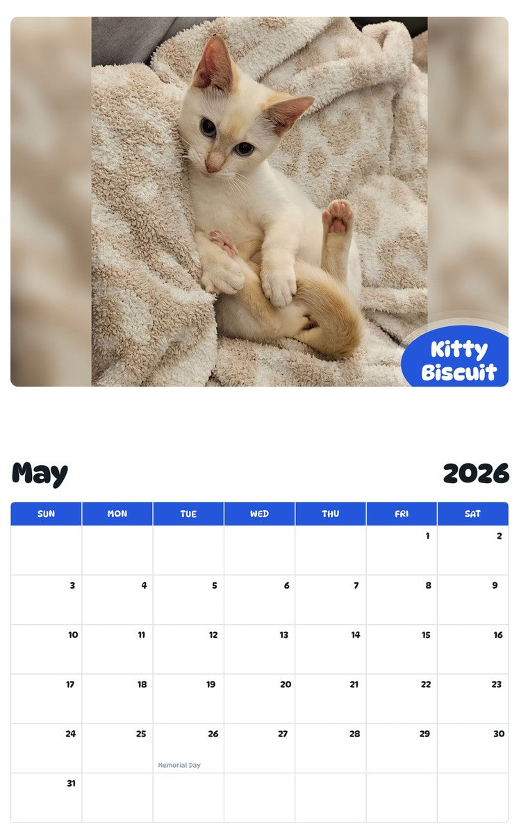 2026 - 2027 Kitty Biscuit - Pawidols Pet Calendar