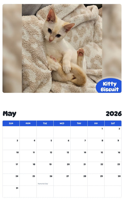 2026 - 2027 Kitty Biscuit - Pawidols Pet Calendar
