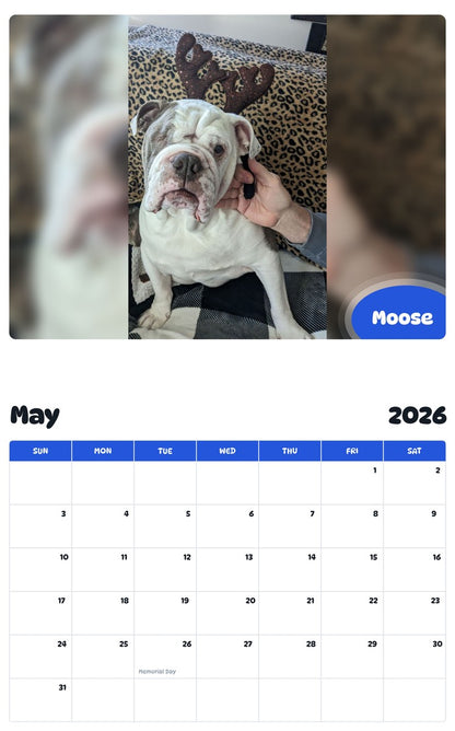 2026 - 2027 Moose - Pawidols Pet Calendar