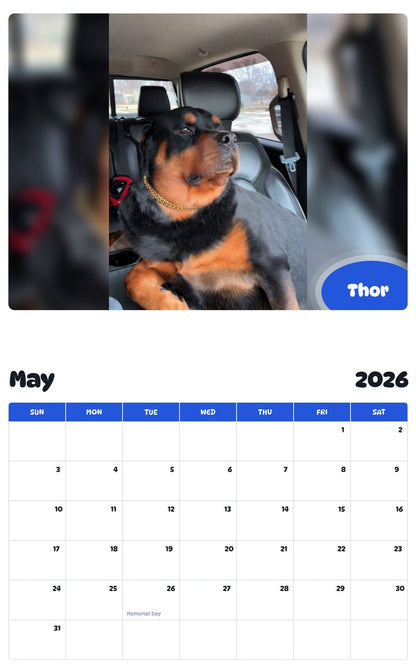 2026 - 2027 Thor - Pawidols Pet Calendar