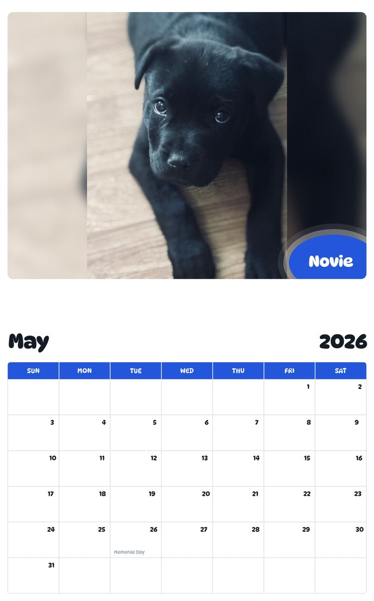 2026 - 2027 Novie - Pawidols Pet Calendar