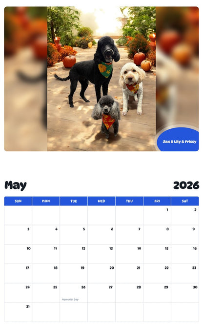 2026 - 2027 Jax & Lily & Prissy - Pawidols Pet Calendar