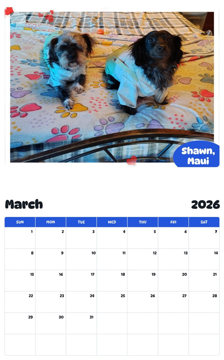 November 2025 - October 2026 Shawn, Maui - Pawidols Pet Calendar