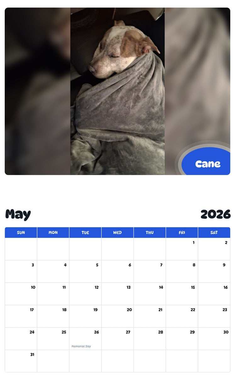 2026 - 2027 Cane - Pawidols Pet Calendar