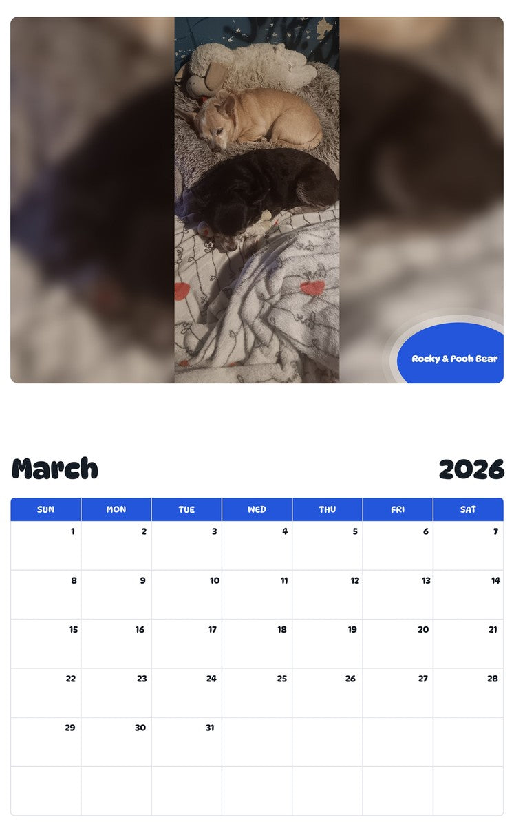 November 2025 - October 2026 Rocky & Pooh Bear - Pawidols Pet Calendar