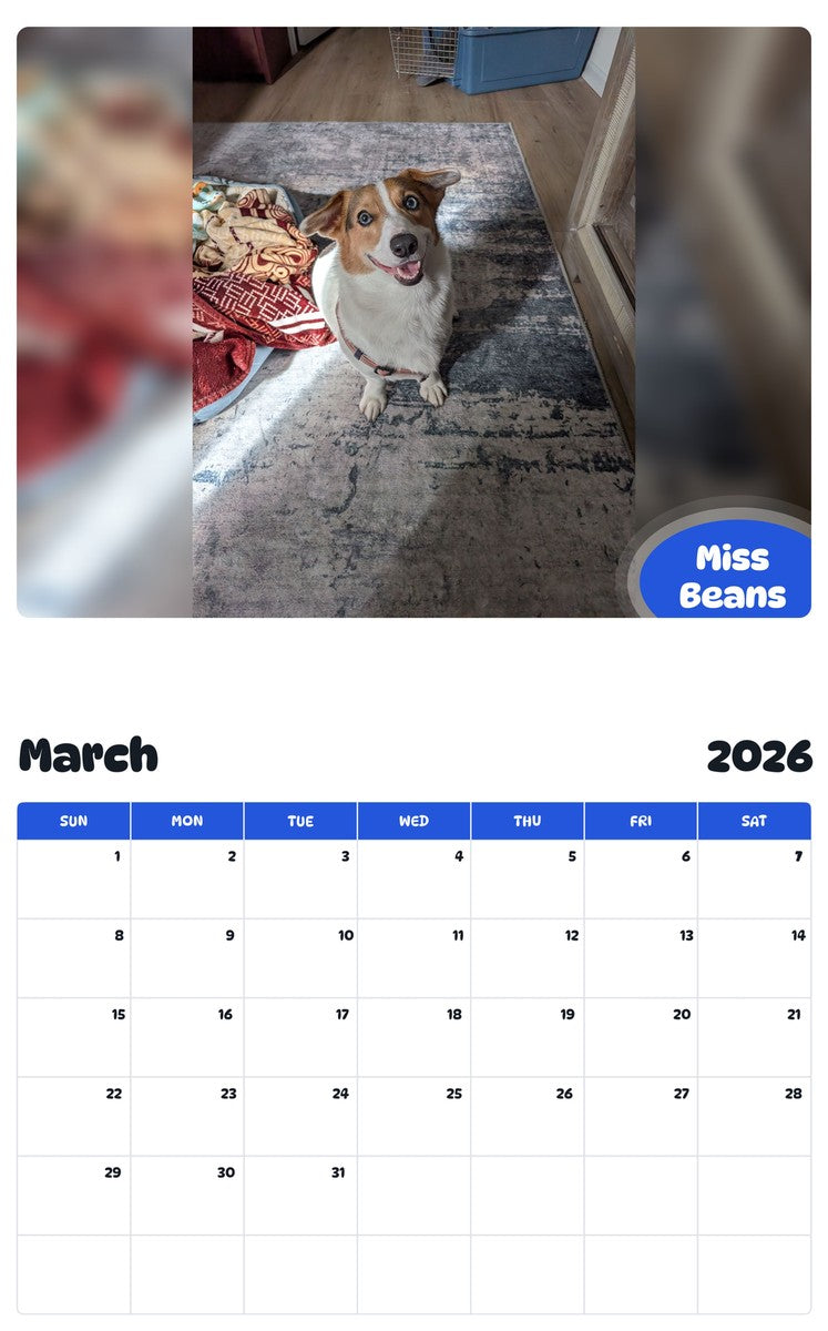November 2025 - October 2026 Miss Beans - Pawidols Pet Calendar