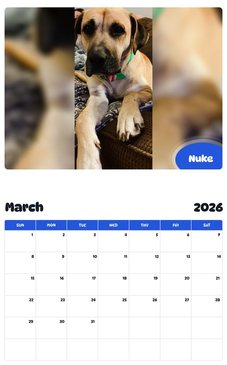 November 2025 - October 2026 Nuke - Pawidols Pet Calendar