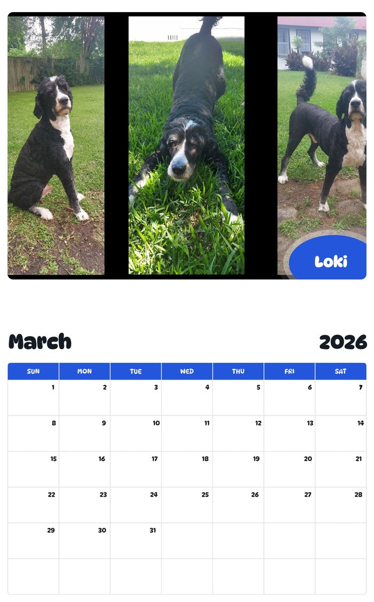 November 2025 - October 2026 Loki - Pawidols Pet Calendar