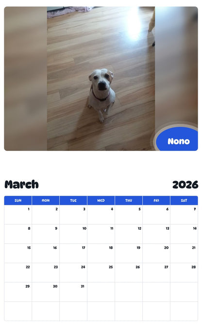 November 2025 - October 2026 Nono - Pawidols Pet Calendar