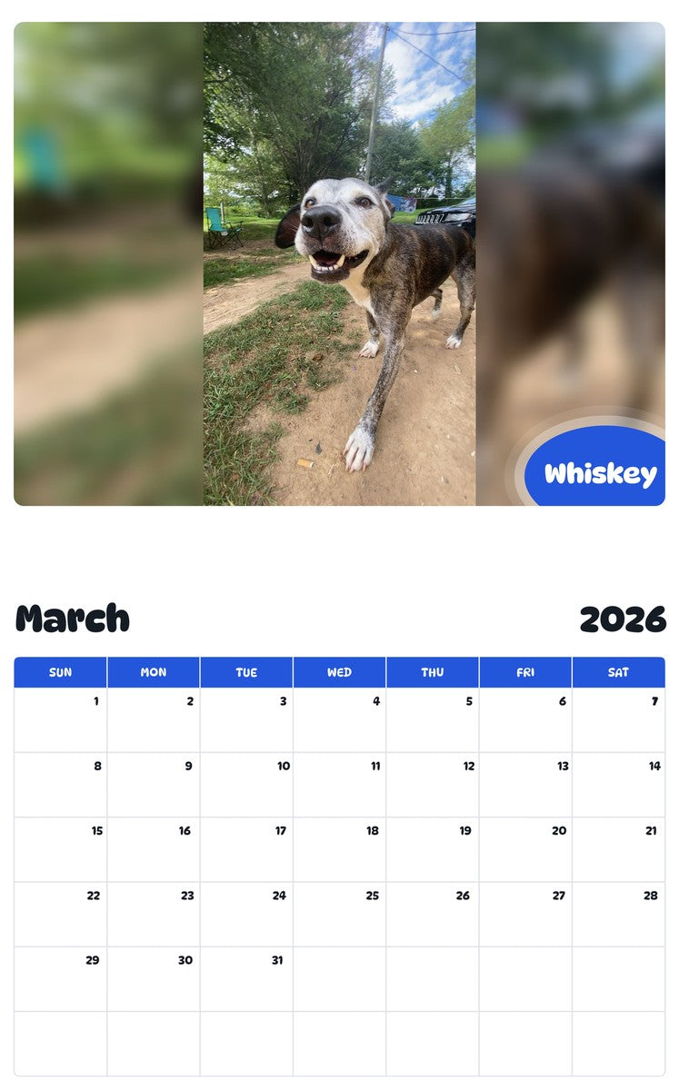November 2025 - October 2026 Whiskey - Pawidols Pet Calendar